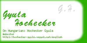 gyula hochecker business card